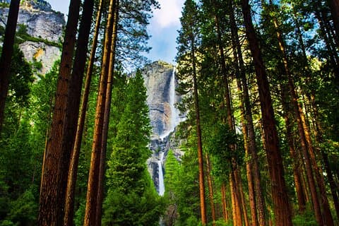 Private Wanderung durch das Yosemite Valley