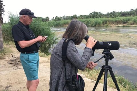 Hoteller i nærheden af Birding San Jose Estuary Los Cabos Mexico
