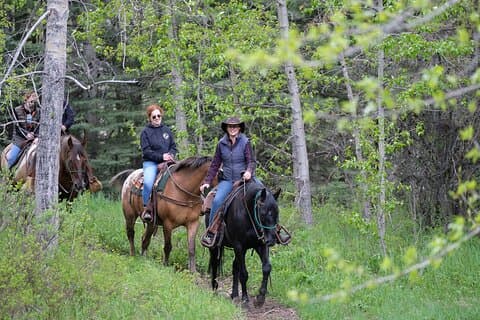 Buffalo Loop Giro a cavallo di 1 ora a Kananaskis