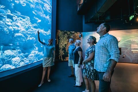 Cairns Aquarium bei Twilight-Tour