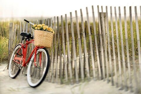 Lido Bike Tour : Con un Locale sull'Isola del Cinema