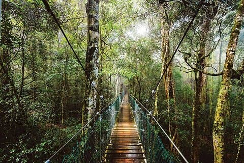 O'Reilly's & Lamington National Park from Gold Coast