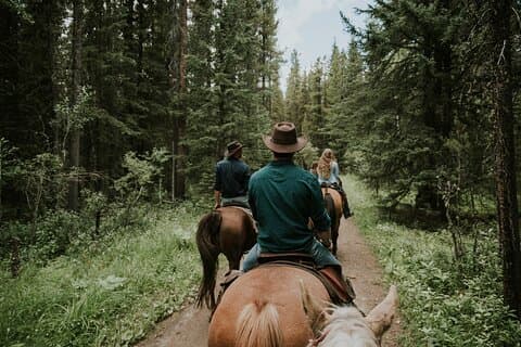 Ridge Ride Giro a cavallo di 2 ore a Kananaskis