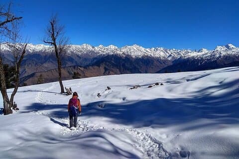 5 dager Kedarkantha Trek
