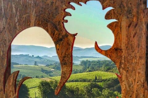 Chianti Classico E-Bike-Tour