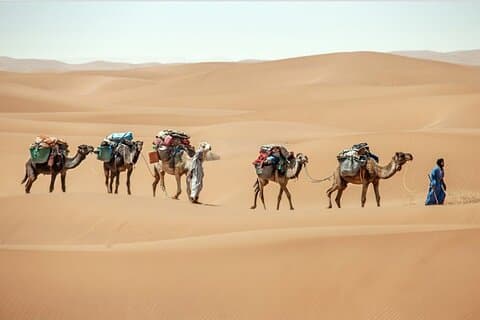 3-Days Private Sahara Desert Trek