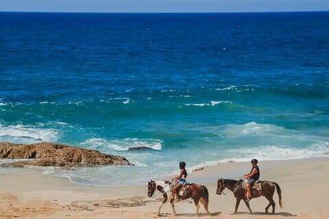 Tacos e passeggiate a cavallo sulla spiaggia di Migriño