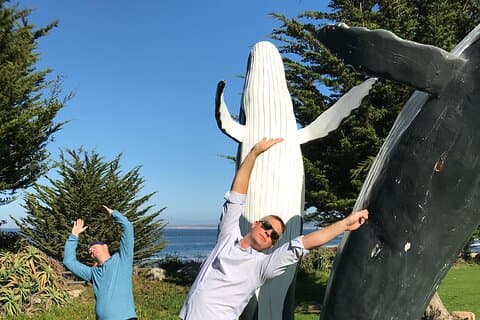 Caça ao tesouro mágica de Monterey