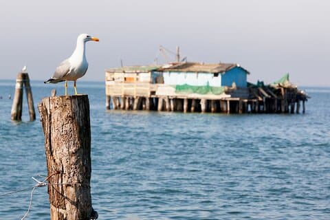 Pellestrina : Bike Hopping intorno alle isole della laguna di Venezia