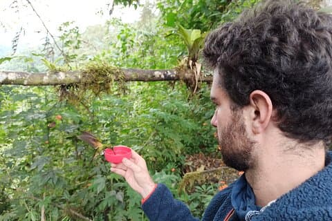 Privater ganztägiger Mindo-Nebelwald, Schmetterlingsfarm, Vogelbeobachtung auf der Schokoladentour