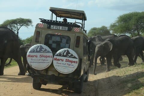 Safari privado de 3 días en Big Five Lodge en el norte de Tanzania