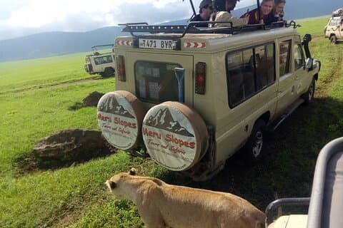 3 dias Serengeti e Ngorongoro Crater Tanzânia Luxury lodge Safari