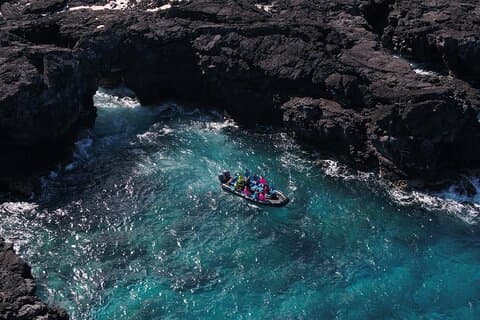 Kona snorkling: Besøg Kealakekua Bay