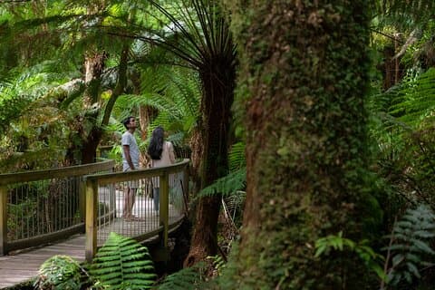 Great Ocean Road Grampians 3 Day National Park Tour Melbourne Roundtrip
