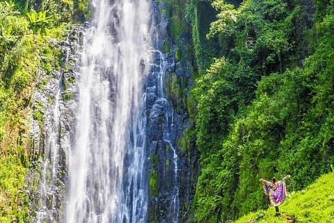 7 giorni: Wildlife Adventure Plus Materuni Waterfalls