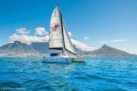 Sailing in The Bay med katamaran (One Hour)
