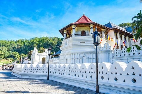 6 - Dag Sri Lanka Privat tur | Sigiriya, Kandy og Ella | Hoteller