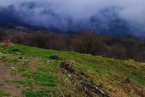 Tur till hela Kakheti från Tbilisi (Telavi, Akhtala Resort, Lagodekhi, Sighnaghi)