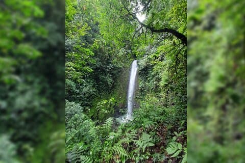 Wanderung zum San Pedro Wasserfall und zur Höhle.