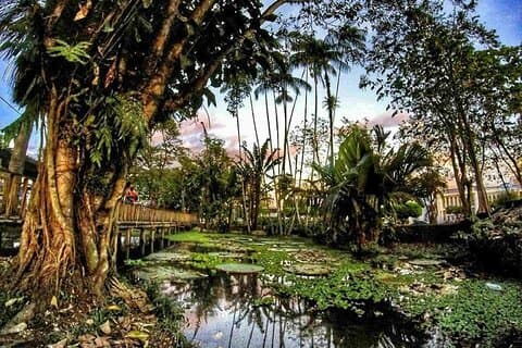 11 días Explore la naturaleza y la cultura de Colombia