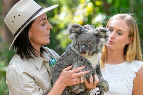 Currumbin Wildlife Sanctuary General Entry Ticket