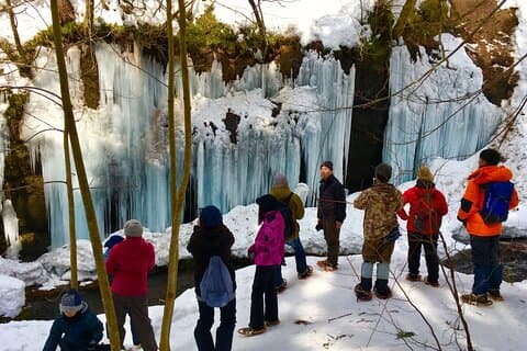 Icicle Trekking Experience in Nishiwaga Town Iwate Prefecture