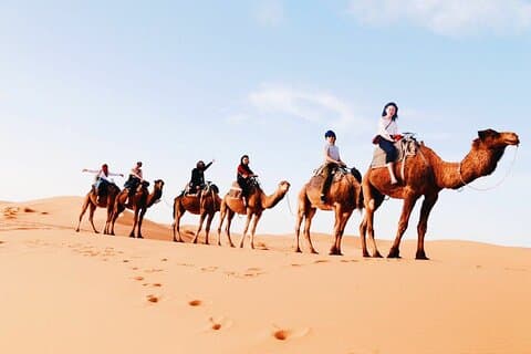 Shared Group 3 Days/2Nights: Fez to Marrakech Sahara Tour
