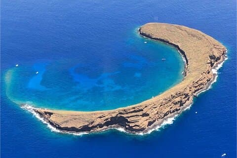 Maui: Molokini krater og skildpadde by snorkling fra Kihei
