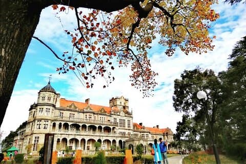Private tour of Shimla city & Kufri
