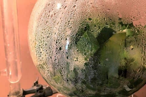 Distillation de l’huile essentielle d’herbes d’Okinawa et de l’eau aux herbes