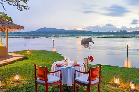 Drømmen om Sri Lanka