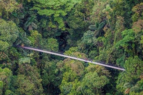 Tour de día completo al Volcán Arenal desde La Fortuna