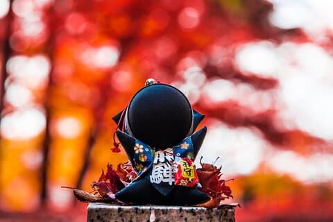 Excursão fotográfica para grupos pequenos em Takayama
