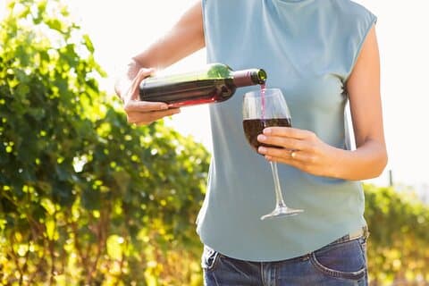 Troodos Mountains Vino Venture: Excursion d'une journée complète en vin