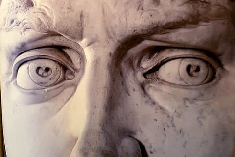 Michelangelo's David: Galleria dell'Accademia Tour privato