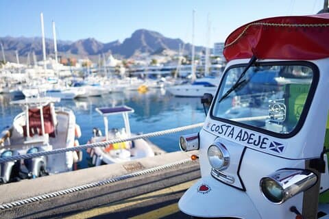 Small Group Tuk Tuk Eco Tours in Costa Adeje