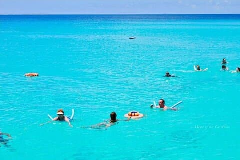 Tropical Catamaran Snorkeling & Sailing