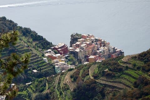 Private Cinque Terre Trek & Tour