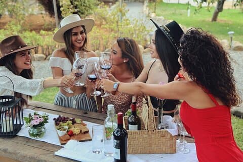 Wine tasting in private gardens overlooking the vineyards