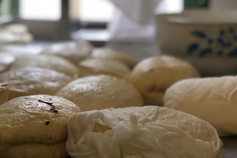 Troodos Mountains Halloumi Making: All Inclusive Workshop & Tour