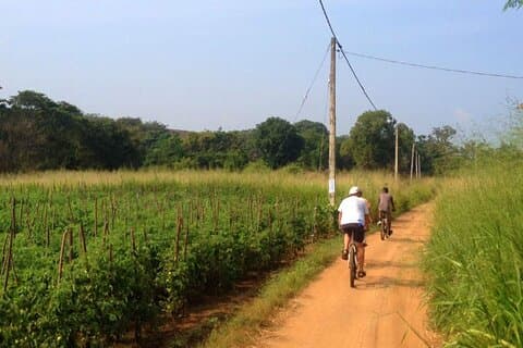 Sigiriya Cycle Safari Tour From Sigiriya