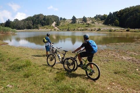 Olympus Mountain Biking - Rides tailored to you