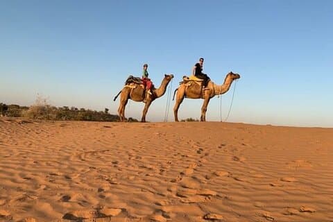 Camel Safari Day Trip Från Jodhpur