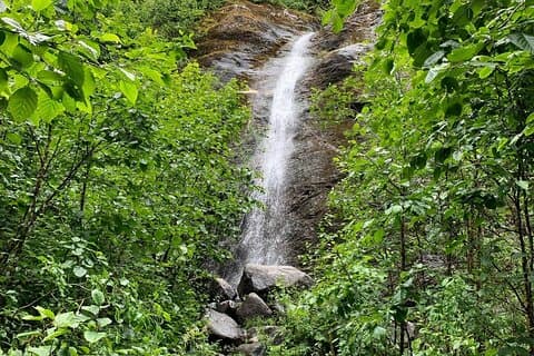 Rainforest & Waterfalls Trek