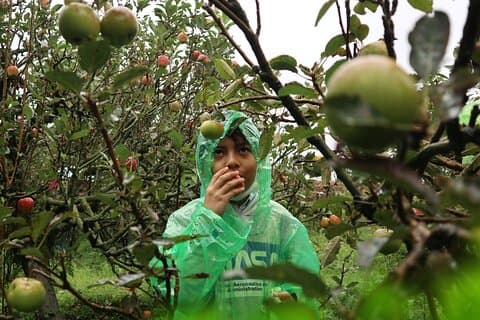 1 Day - Malang Instagramable Tour // 08:00 - 18:00