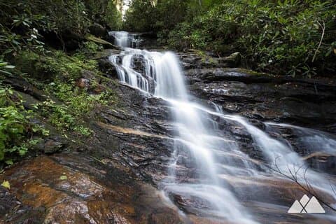 Bartram Trail Hike plus Degustazione di vini