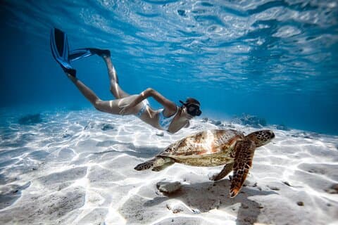 Private Turtle and Ray Tour Rarotonga