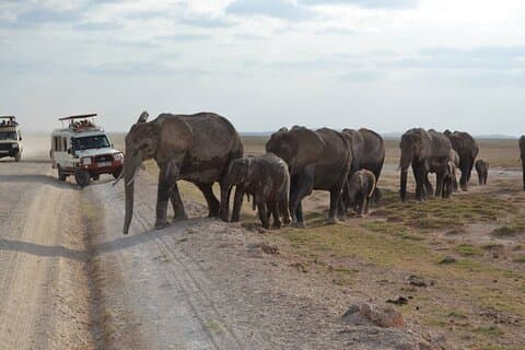 Safari Pernoite no Parque Nacional Amboseli