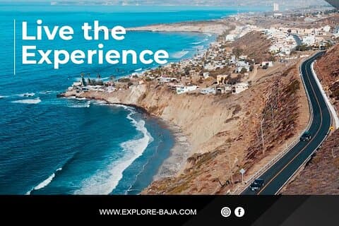 PRIVATE BAJA WINERIES EXPERIENCE (Transportation,concierge,custom schedule)