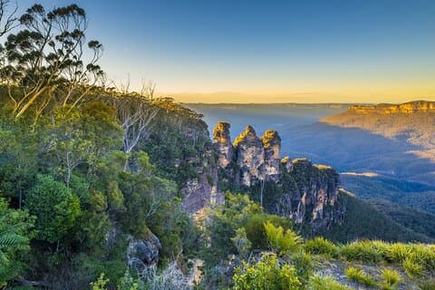 Blue Mountains Private Tour | Koala, Kangaroo, & Waterfalls Day